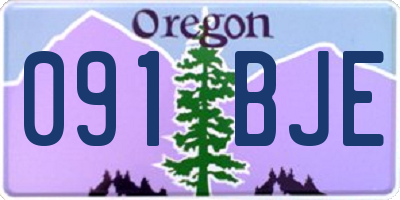OR license plate 091BJE
