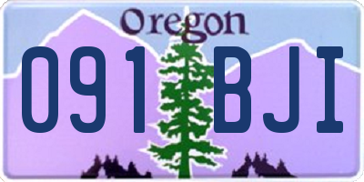 OR license plate 091BJI