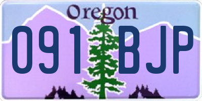 OR license plate 091BJP