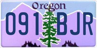 OR license plate 091BJR