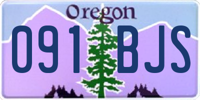 OR license plate 091BJS