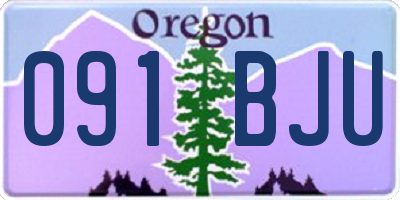 OR license plate 091BJU