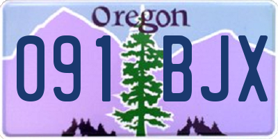 OR license plate 091BJX