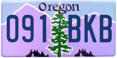OR license plate 091BKB