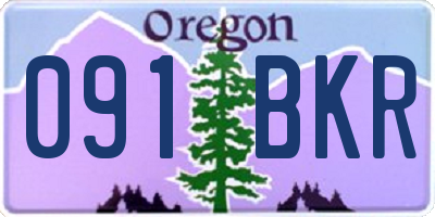 OR license plate 091BKR