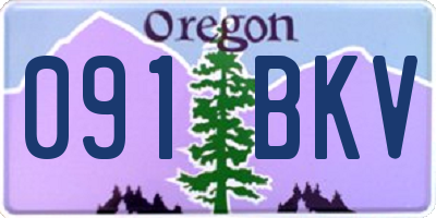 OR license plate 091BKV