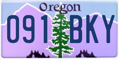 OR license plate 091BKY