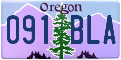 OR license plate 091BLA
