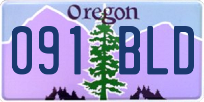 OR license plate 091BLD