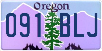 OR license plate 091BLJ
