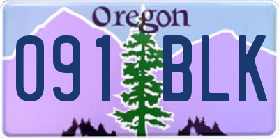 OR license plate 091BLK