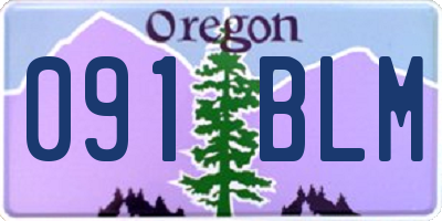 OR license plate 091BLM