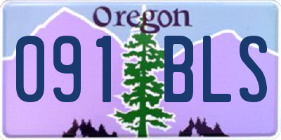 OR license plate 091BLS