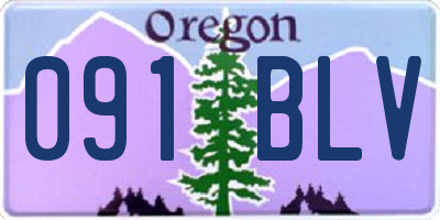 OR license plate 091BLV