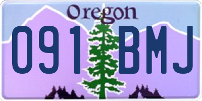 OR license plate 091BMJ