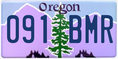 OR license plate 091BMR