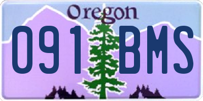 OR license plate 091BMS