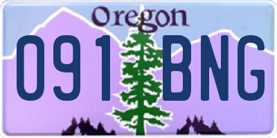 OR license plate 091BNG