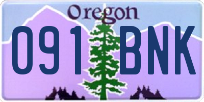 OR license plate 091BNK