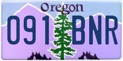 OR license plate 091BNR