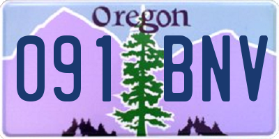OR license plate 091BNV