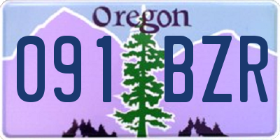 OR license plate 091BZR