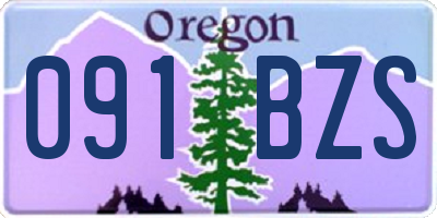 OR license plate 091BZS