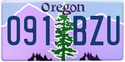 OR license plate 091BZU
