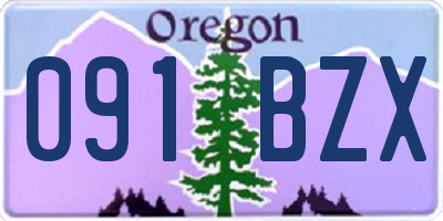 OR license plate 091BZX