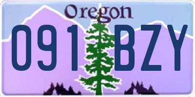 OR license plate 091BZY