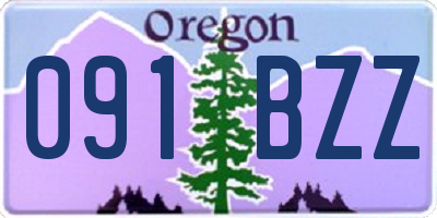 OR license plate 091BZZ