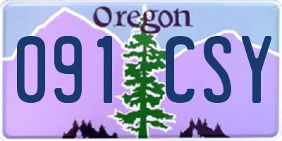OR license plate 091CSY