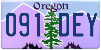 OR license plate 091DEY