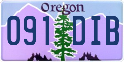 OR license plate 091DIB