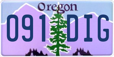 OR license plate 091DIG