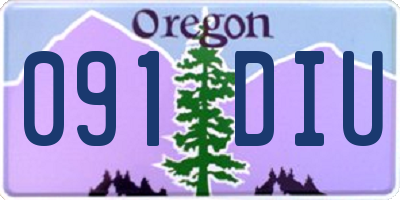 OR license plate 091DIU