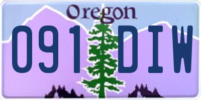 OR license plate 091DIW