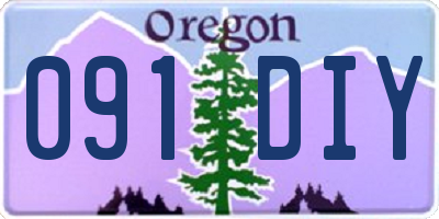 OR license plate 091DIY