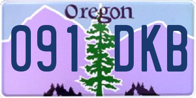 OR license plate 091DKB