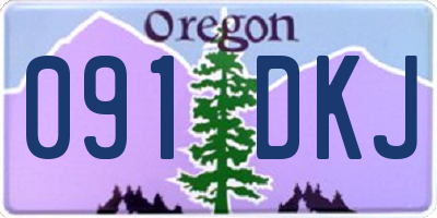 OR license plate 091DKJ