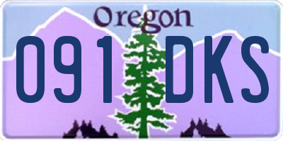 OR license plate 091DKS