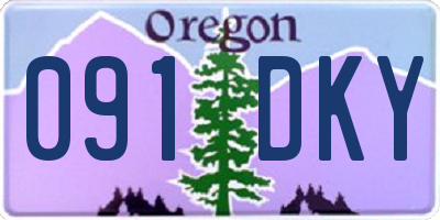 OR license plate 091DKY