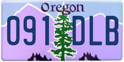 OR license plate 091DLB