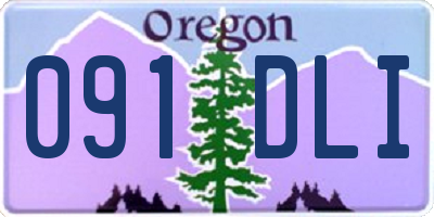 OR license plate 091DLI