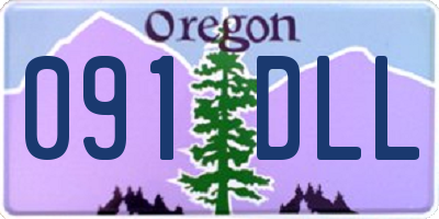 OR license plate 091DLL