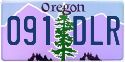 OR license plate 091DLR