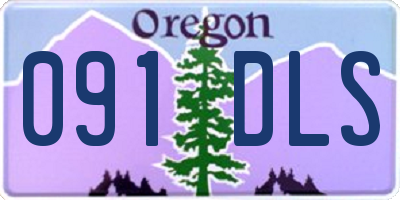 OR license plate 091DLS