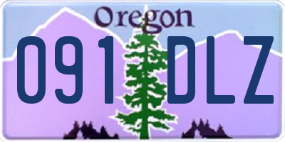 OR license plate 091DLZ