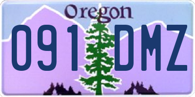 OR license plate 091DMZ