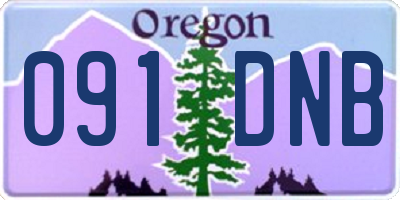 OR license plate 091DNB